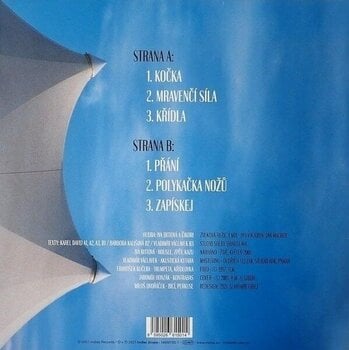 Vinyl Record Iva Bittová - Čikori (Reissue) (LP) - 2
