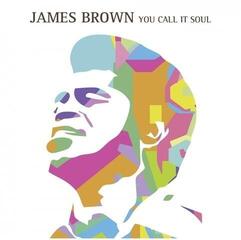 Disco de vinilo James Brown - You Call It Soul (Limited Edition) (Brown Marbled Coloured) (LP) - 1