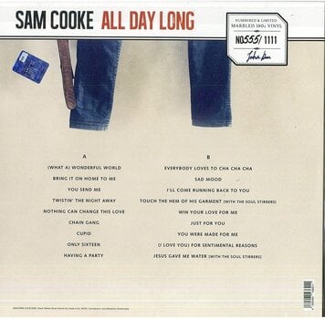 LP platňa Sam Cooke - All Day Long (Limited Edition) (Purple Marbled Coloured) (LP) - 3