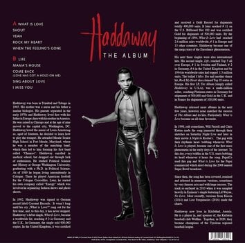 Vinylplade Haddaway - The Album (Limited Edition) (Numbered) (Yellow Transparent Coloured) (LP) - 3