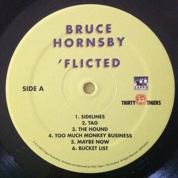 Vinyl Record Bruce Hornsby - Flicted (LP) - 2