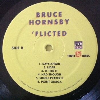 Vinyl Record Bruce Hornsby - Flicted (LP) - 3