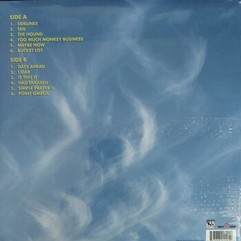 Vinyl Record Bruce Hornsby - Flicted (LP) - 4