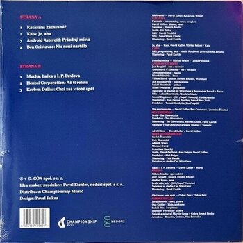 Vinylskiva David Koller - David Koller And Friends (LP) - 2