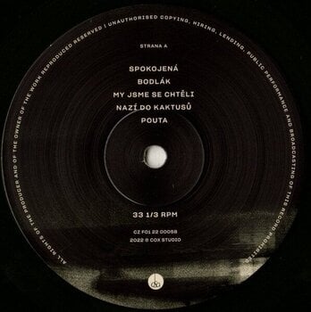 Vinyl Record David Koller - LP XXIII (LP) - 2