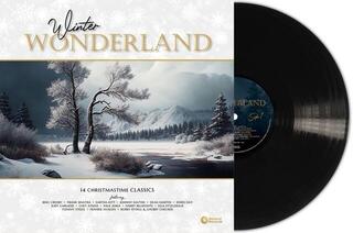 Vinüülplaat Various Artists - Winter Wonderland (LP) - 1