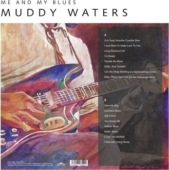 Vinyl Record Muddy Waters - Me And My Blues (Limited Edition) (Numbered) (Gold Marbled Coloured) (LP) - 4