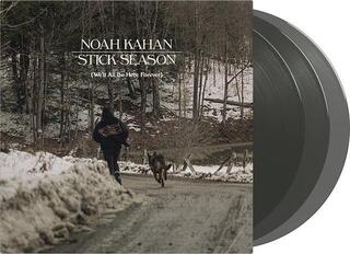 Schallplatte Noah Kahan - Stick Season (Black Ice Coloured) (We'll All Be Here Forever) (3 LP) - 1