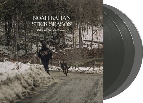 Vinyl Record Noah Kahan - Stick Season (Black Ice Coloured) (We'll All Be Here Forever) (3 LP) - 2