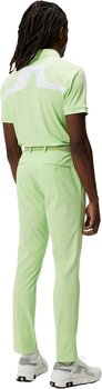 Polo J.Lindeberg KV Regular Fit Polo Paradise Green L - 4