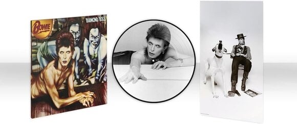 Disque vinyle David Bowie - Diamond Dogs (50th Anniversary) (Picture Disc) (LP) - 2