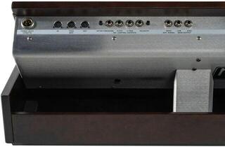 Synthesizer MOOG Minimoog Model D 2022 Edition Synthesizer - 6
