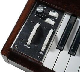 Synthesizer MOOG Minimoog Model D 2022 Edition Synthesizer - 7