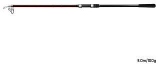 Teleskopiska stänger Delphin THUNDER GenerationX Rod 3,3 m 120 g 5 parts - 1
