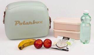 Boat Fridge Polarbox Urban Retro Cooler Bag Matcha Gold 6 L - 7
