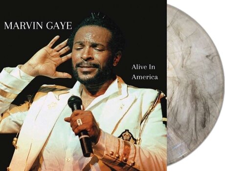 Vinyl Record Marvin Gaye - Alive In America (Clear Marbled) (2 LP) - 2