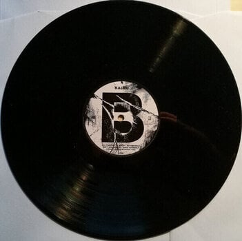 Vinyl Record Kaleo - A/B (LP) - 4