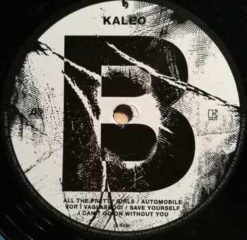 Vinyl Record Kaleo - A/B (LP) - 5