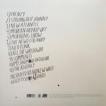 Disque vinyle Iggy Pop - Every Loser (LP) - 8