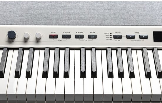 Digitálne stage piano Kurzweil Ka P1 Digitálne stage piano - 5