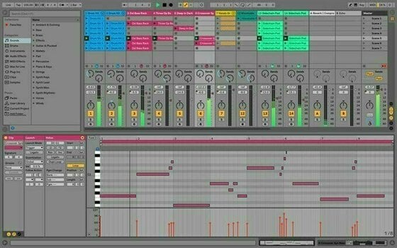DAW Sequencer-Software ABLETON Live 10 Suite - 2