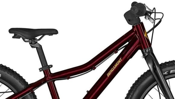 Gyerek kerékpár Bergamont Bergamonster 20 Plus Girl Candy Red Gyerek kerékpár - 4