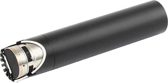 Caracteristică direcțională