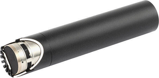 Caracteristică direcțională