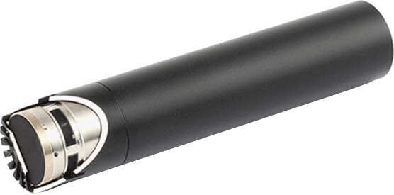 Caracteristică direcțională