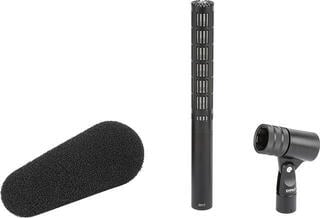 Microfon video DPA 2017 Microfon video - 4