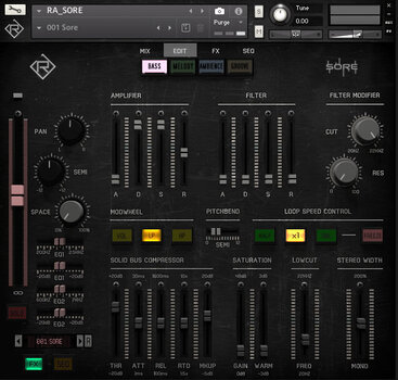 VST Instrument Studio programvara Rigid Audio Sore (Digital produkt) - 2