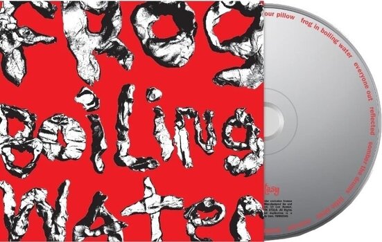 CD de música Diiv - Frog In Boiling Water (CD) - 2