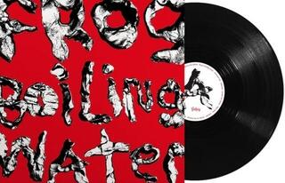 Vinyl Record DIIV - Frog In Boiling Water (LP) - 1