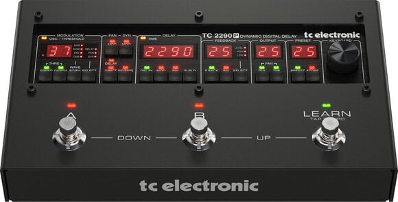 Guitar effekt TC Electronic 2290 P Dynamic Digital Delay - 2