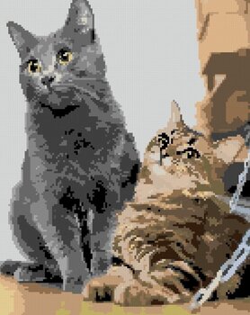 Diamantové maľovanie Zuty Čakajúce mačky - 3