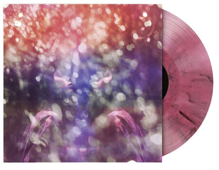 Δίσκος LP Maybeshewill - Fair Youth (10th Anniversary) (Remastered) (Pink Blackberry Coloured) (LP) - 2