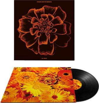 Грамофонна плоча Siouxsie & The Banshees - All Souls (LP) - 2
