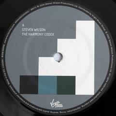 Hanglemez Steven Wilson - The Harmony Codex (2 LP) - 1