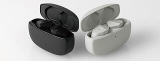 Wireless In-ear headphones Final Audio ZE2000 Ash Grey Wireless In-ear headphones - 6