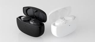 Wireless In-ear headphones Final Audio ZE3000 White Wireless In-ear headphones - 7