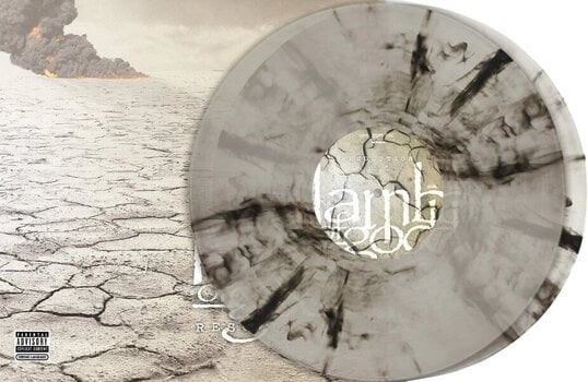 Vinyl Record Lamb Of God - Resolution (Natural Black Marble Coloured) (2 LP) - 2