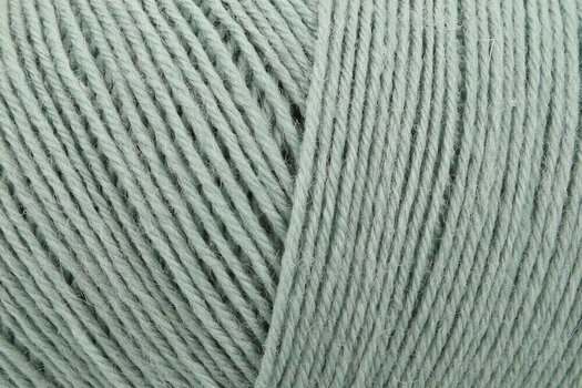 Knitting Yarn Freundin x Regia My Favourite Sockyarn 9807142-00071 Sage - 2