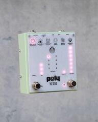 Effetti Chitarra Poly Effects Verbs Effetti Chitarra - 2