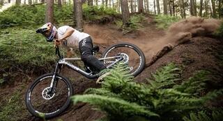 Fork Rockshox Lyrik Ultimate 160 mm 27,5" (584 mm) 15x110 Fork - 6