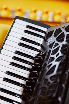 Piano accordion
 Hohner BRAVO myColor III 72 Day Piano accordion - 2