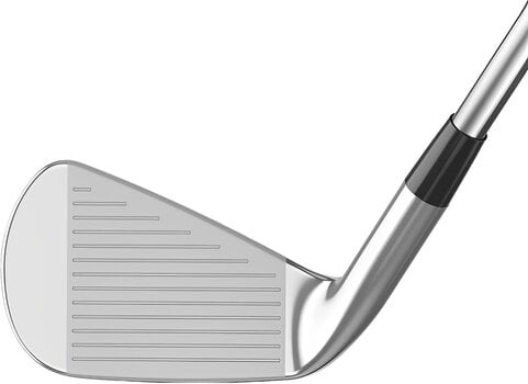 Golfschläger - Eisen Mizuno Pro 245 Irons RH 4-PW Regular - 3