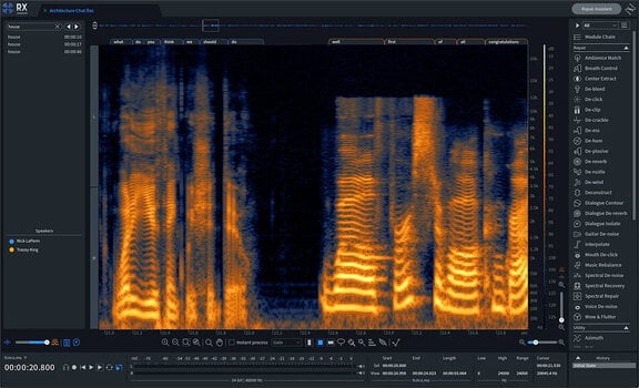 Wtyczka FX iZotope RX 10 Advanced: CRG from any paid iZotope product (Produkt cyfrowy) - 5