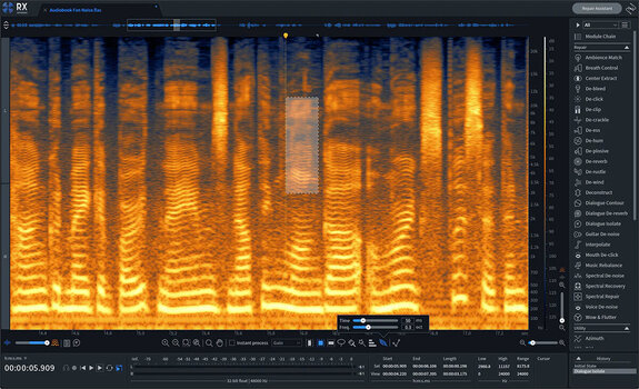 Štúdiový softwarový Plug-In efekt iZotope RX 10 Advanced EDU (Digitálny produkt) - 3