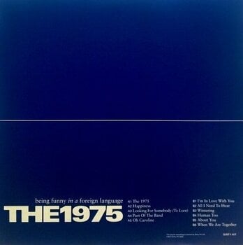 Δίσκος LP The 1975 - Being Funny In A Foreign (Clear Coloured) (LP) - 8