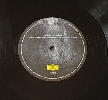 LP Johann Johannsson - And In The Endless Pause There Came The Sound Of Bees (Repress) (180g) (LP) - 2